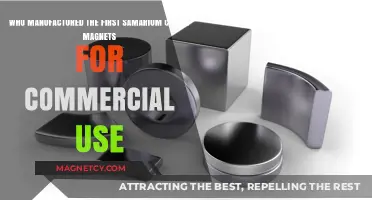 Pioneering Samarium Cobalt Magnets: The First Manufacturer for Commercial Use