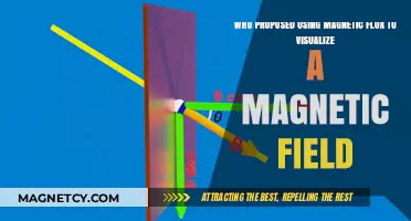 Magnetic Field Visualization: Who Proposed Magnetic Flux as a Tool?