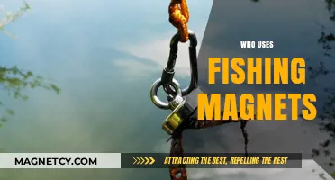 Who Uses Fishing Magnets? Exploring Magnet Fishing Enthusiasts