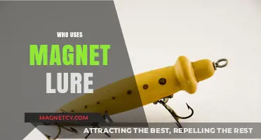 Who Uses Magnet Lures? Uncovering Anglers' Secrets for Big Catches
