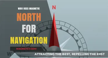 Magnetic North: Essential Navigation Tool for Explorers and Wildlife Alike