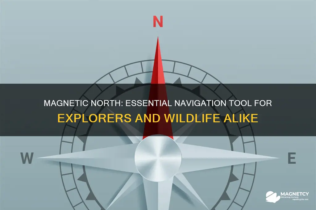 who uses magnetic north for navigation