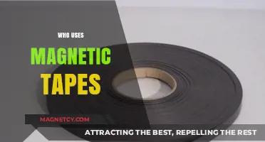 Who Still Uses Magnetic Tapes in the Digital Age?