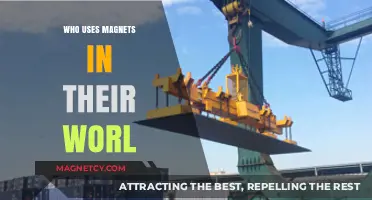 Magnetic Marvels: Industries and Innovators Harnessing Magnets Daily