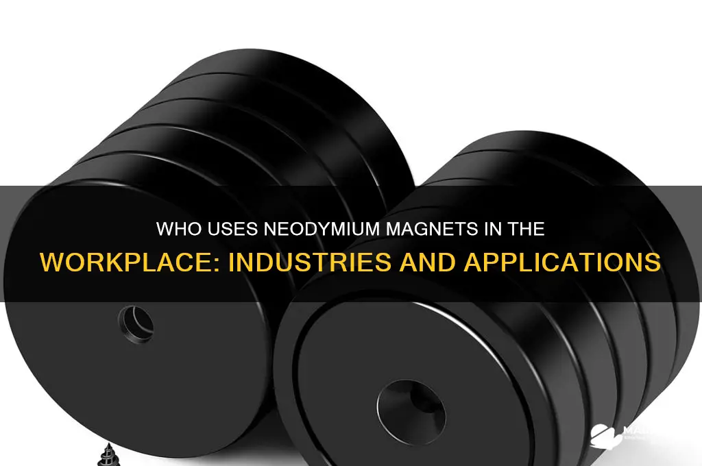 who uses neodymium magnets in the work place
