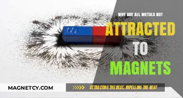 Why Some Metals Resist Magnetic Attraction: Unraveling the Science