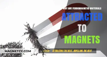 Why Ferromagnetic Materials Are Magnetically Attracted: Unraveling the Science