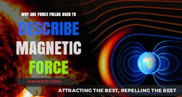 Understanding Magnetic Forces: The Role and Utility of Force Fields