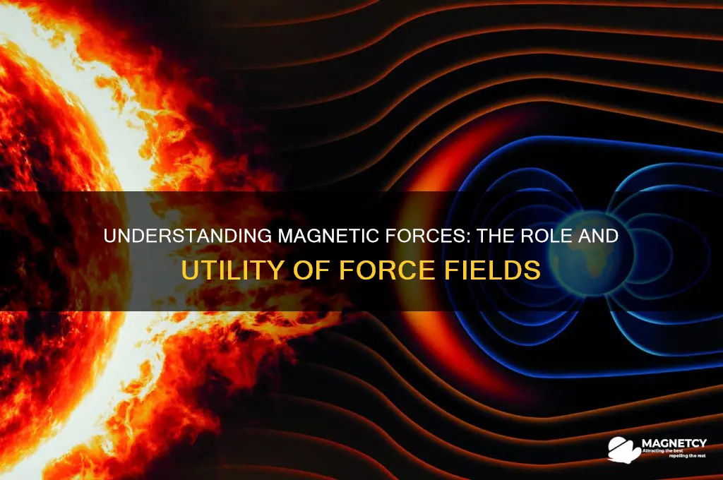 why are force fields used to describe magnetic force