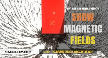 Visualizing Magnetic Fields: The Role of Iron Filings Explained