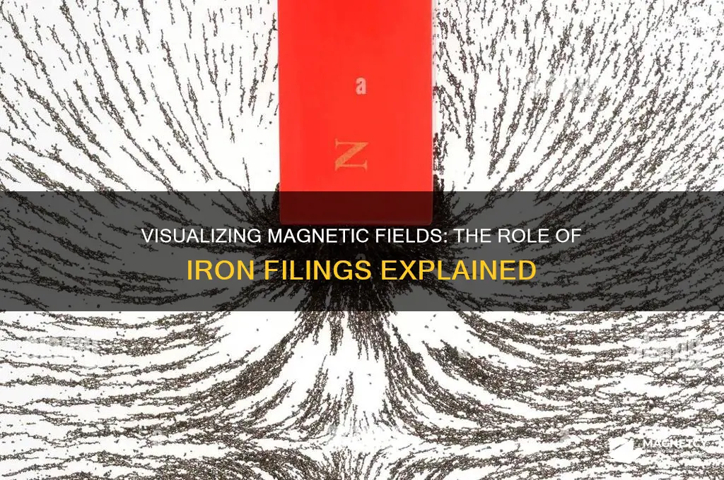 why are iron filings used to show magnetic fields