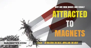 Why Iron, Nickel, and Cobalt Are Magnetically Attracted