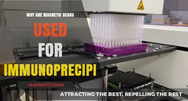 Magnetic Beads in Immunoprecipitation: Enhancing Precision and Efficiency in Research