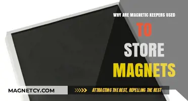 Magnetic Keepers: Essential Tools for Safe Magnet Storage and Preservation