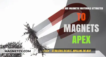 Why Magnetic Materials Are Irresistibly Drawn to Magnets: Apex Explained