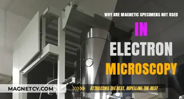 Magnetic Specimens in Electron Microscopy: Challenges and Limitations Explained