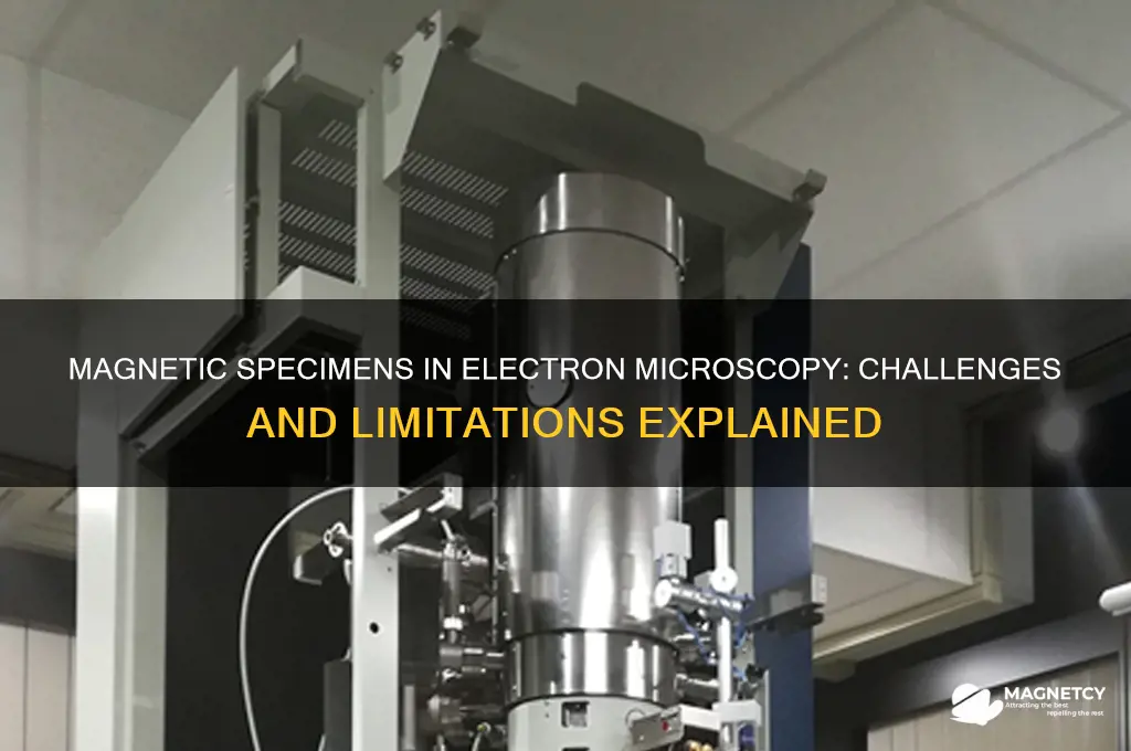 why are magnetic specimens not used in electron microscopy