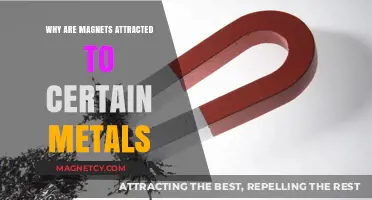 Magnetic Attraction: Unveiling Why Magnets Stick to Specific Metals