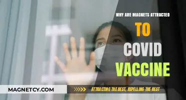 Magnets and COVID Vaccines: Debunking the Attraction Myth