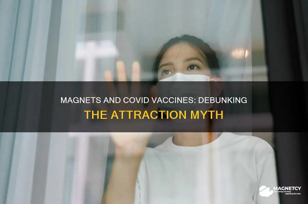 why are magnets attracted to covid vaccine