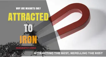 Why Magnets Only Attract Iron: Unveiling the Magnetic Mystery