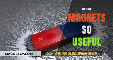 Magnets: Unlocking Endless Applications in Technology and Everyday Life