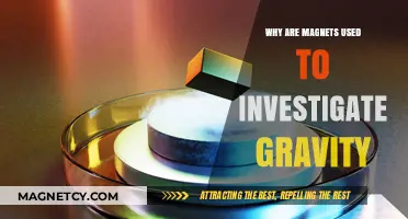 Magnets Unveiling Gravity's Secrets: Exploring the Magnetic-Gravitational Connection
