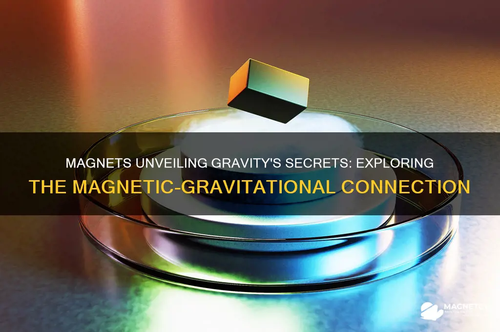 why are magnets used to investigate gravity