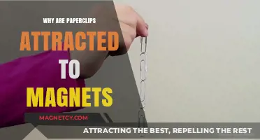Why Paperclips Stick to Magnets: Unraveling Magnetic Attraction Secrets
