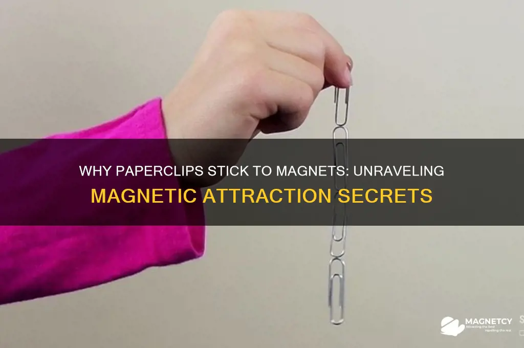 why are paperclips attracted to magnets
