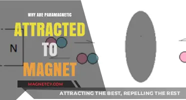 Paramagnetic Materials: Unveiling Their Magnetic Attraction to Magnets