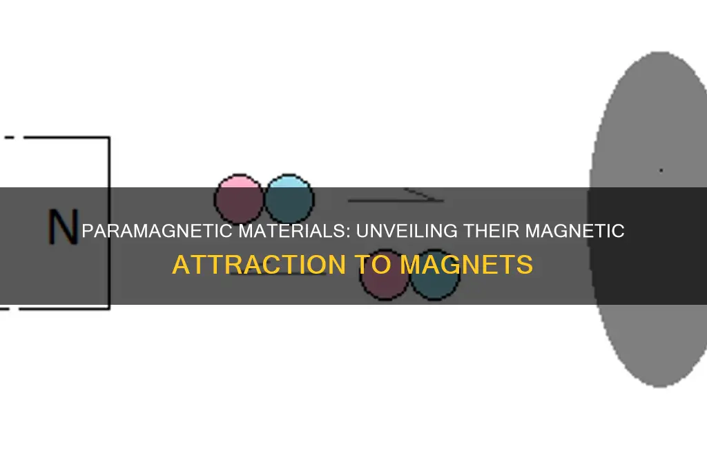 why are paramagnetic attracted to magnet