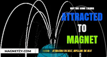 Magnetic Liquids: Unveiling the Science Behind Ferrofluid Attraction