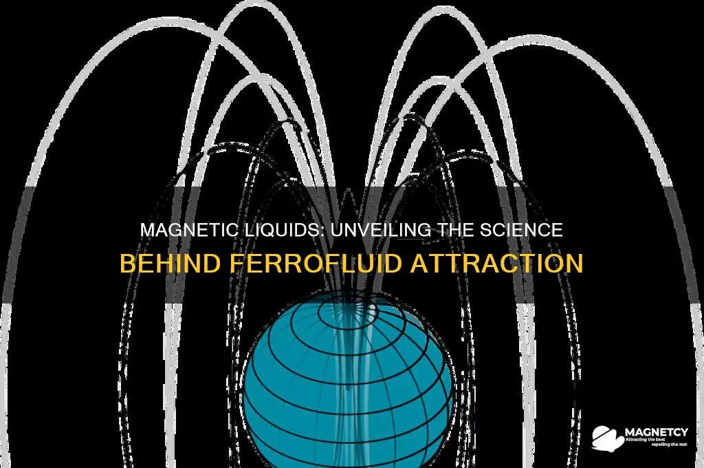 why are some liquids attracted to magnet