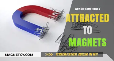 Unveiling the Magnetic Mystery: What Makes Objects Stick to Magnets?