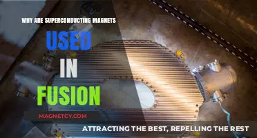 Superconducting Magnets: Powering Fusion Energy's Future with Precision and Efficiency