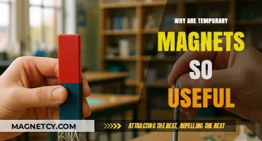 Temporary Magnets: Versatile Tools for Everyday Applications and Innovations