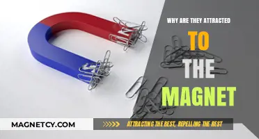 Unveiling the Magnetic Mystery: What Draws Objects to Magnets?