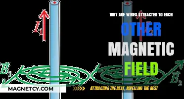 Magnetic Attraction: Why Wires Pull Each Other in Electromagnetic Fields