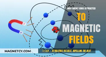 Why Ions Don't Respond to Magnetic Fields: Unraveling the Science