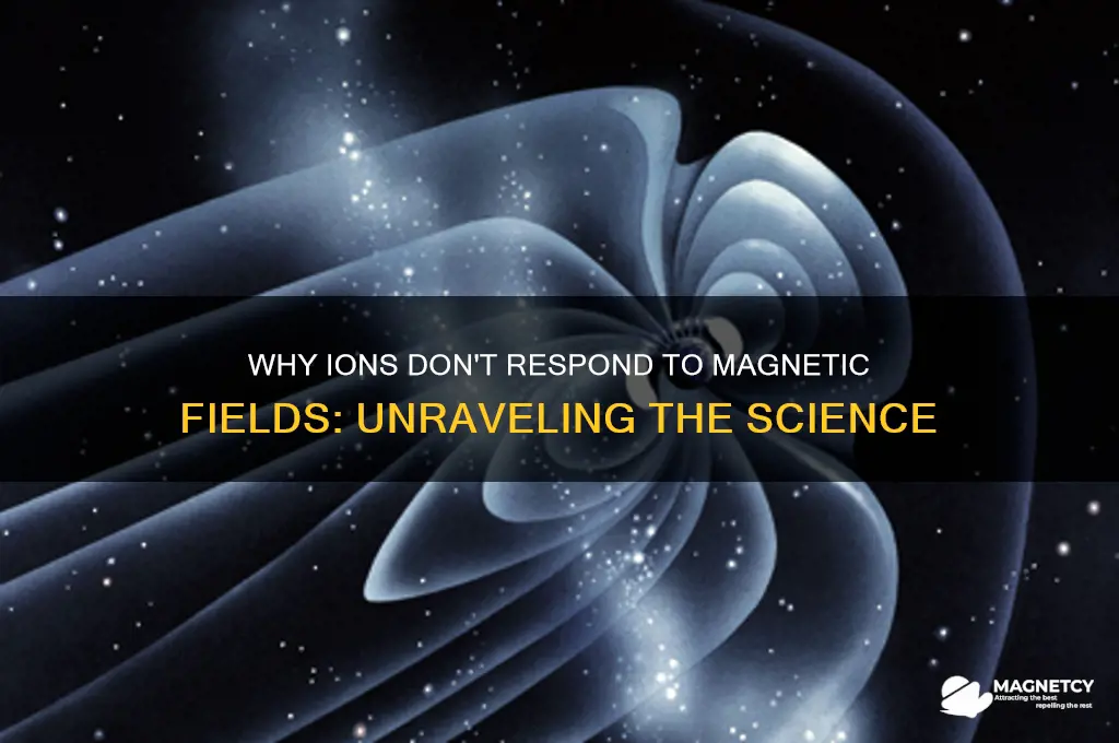 why arent ions attracted to magnetic fields