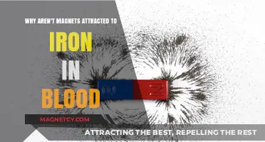 Why Magnets Don't Attract Iron in Blood: Unraveling the Mystery