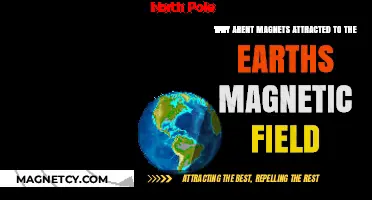 Why Magnets Don't Stick to Earth's Magnetic Field: Unraveling the Mystery