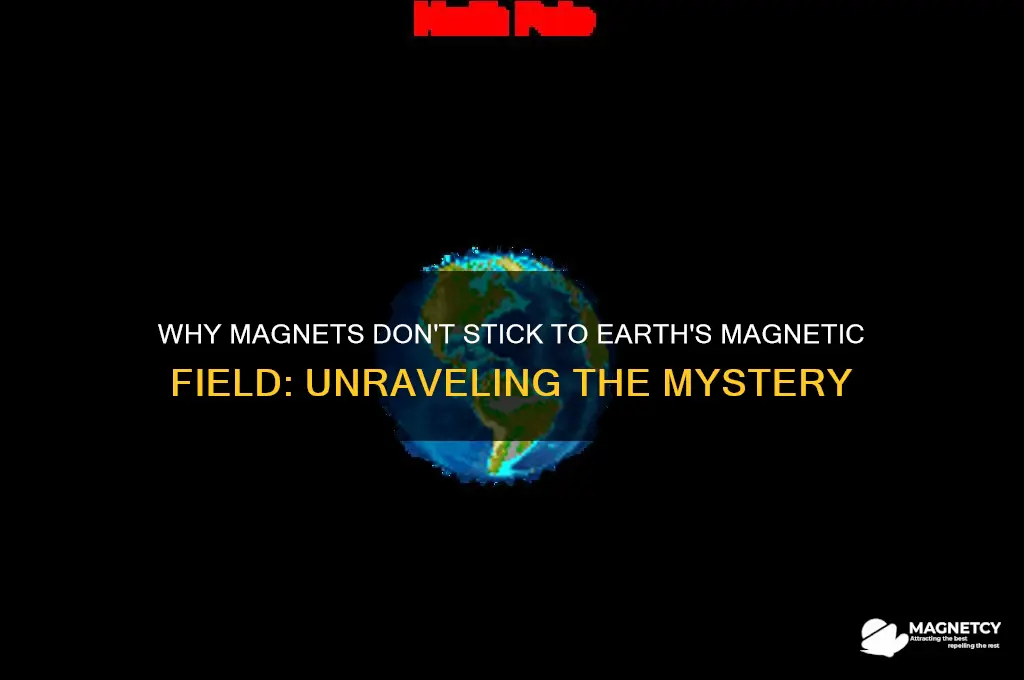 why arent magnets attracted to the earths magnetic field