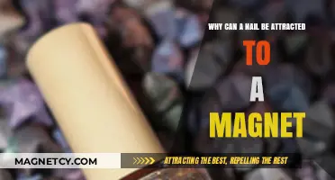 Why Nails Stick to Magnets: Uncovering the Magnetic Attraction Mystery