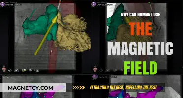 How Humans Utilize Earth's Magnetic Field for Navigation and Survival