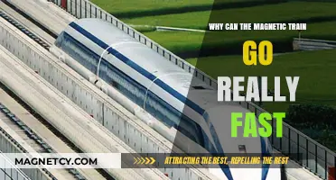 Magnetic Levitation: The Science Behind High-Speed Maglev Trains