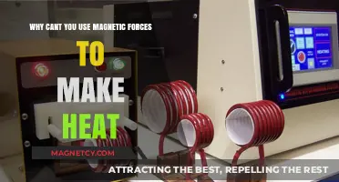 Magnetic Forces and Heat: Why They Don't Mix for Energy Generation