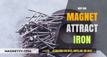 Why Magnets Attract Iron: Unveiling the Magnetic Force Mystery