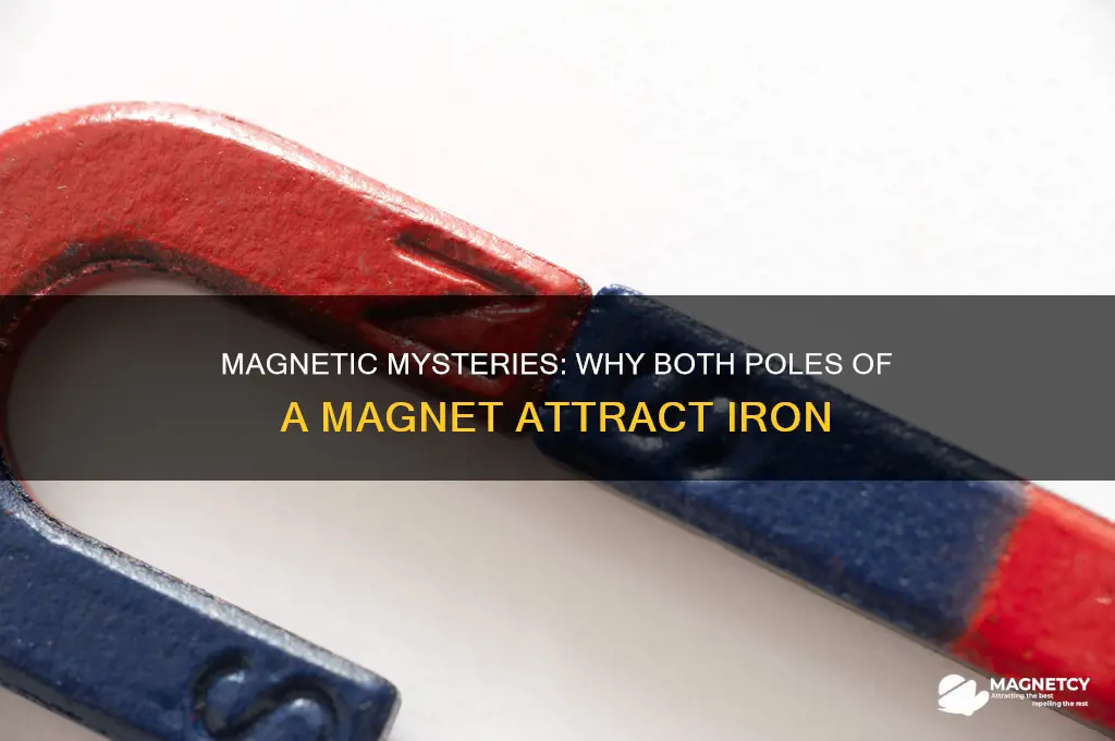 why do both ends of a magnet attract iron